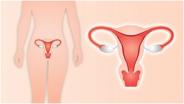 Hysterectomy Uterus Removal Surgery in Udaipur